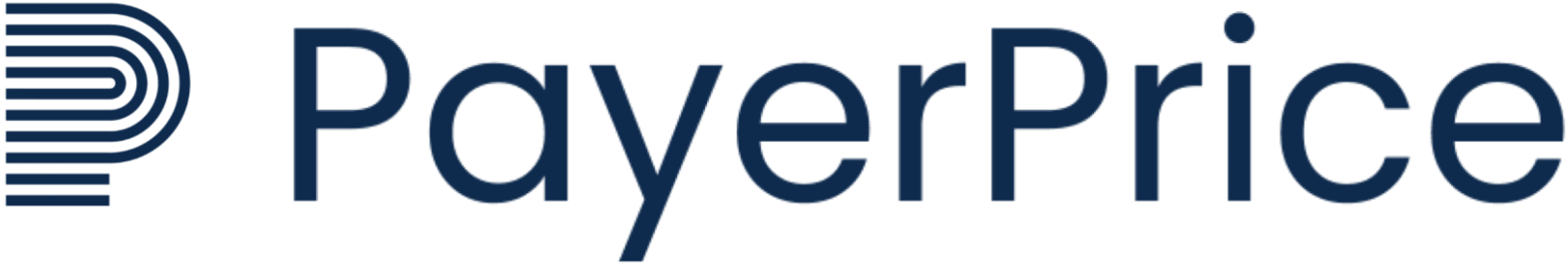 PayerPrice Logo