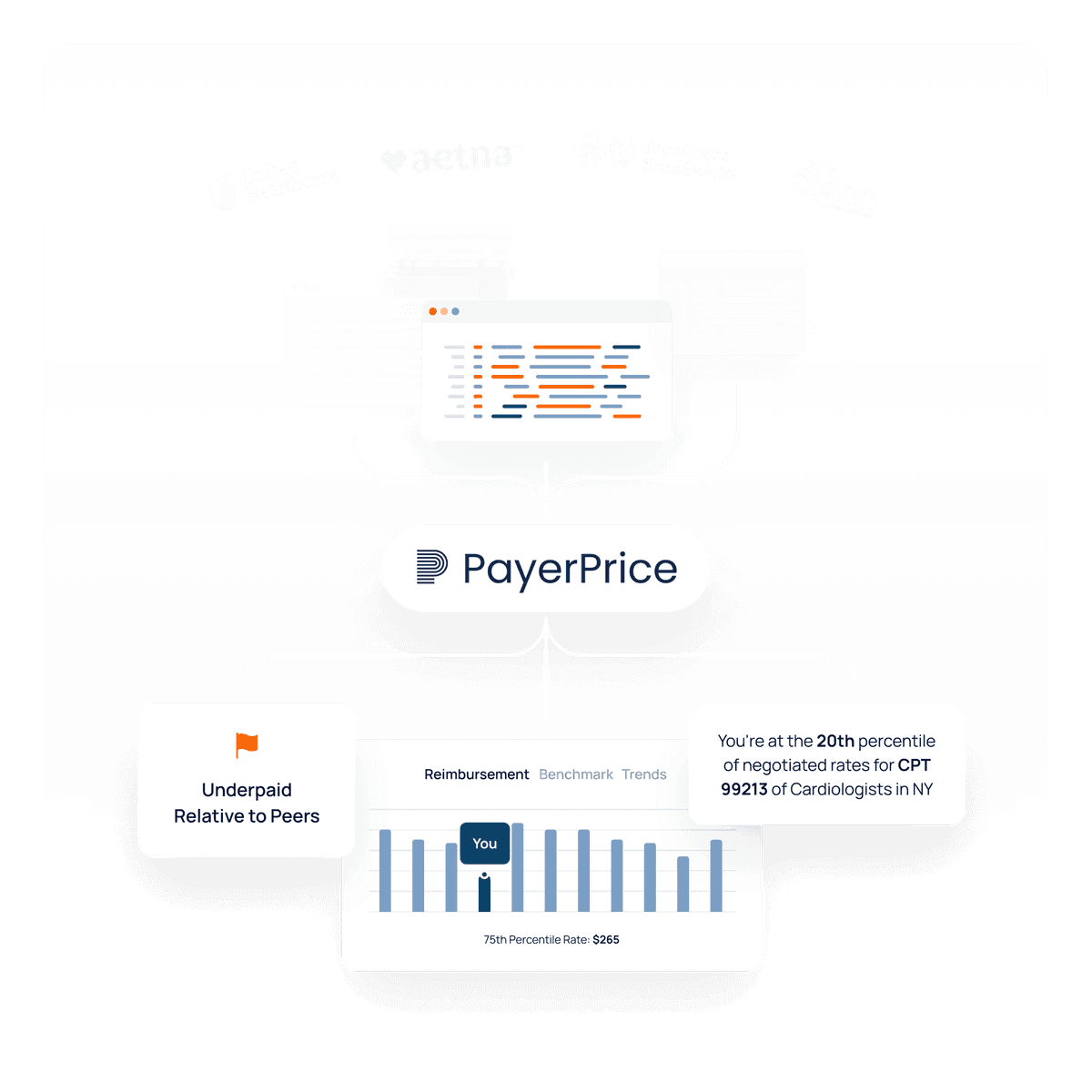 PayerPrice platform overview