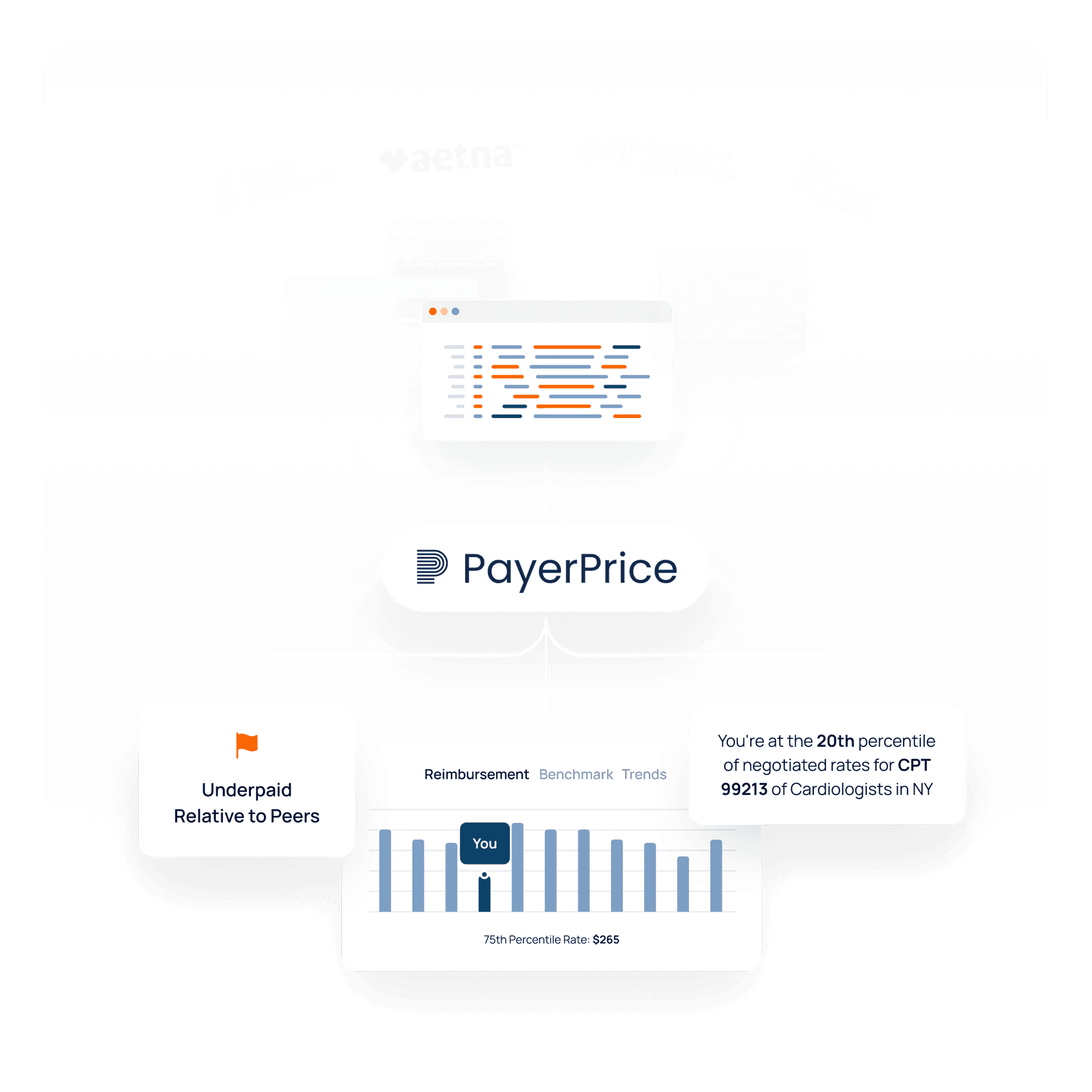 PayerPrice platform overview